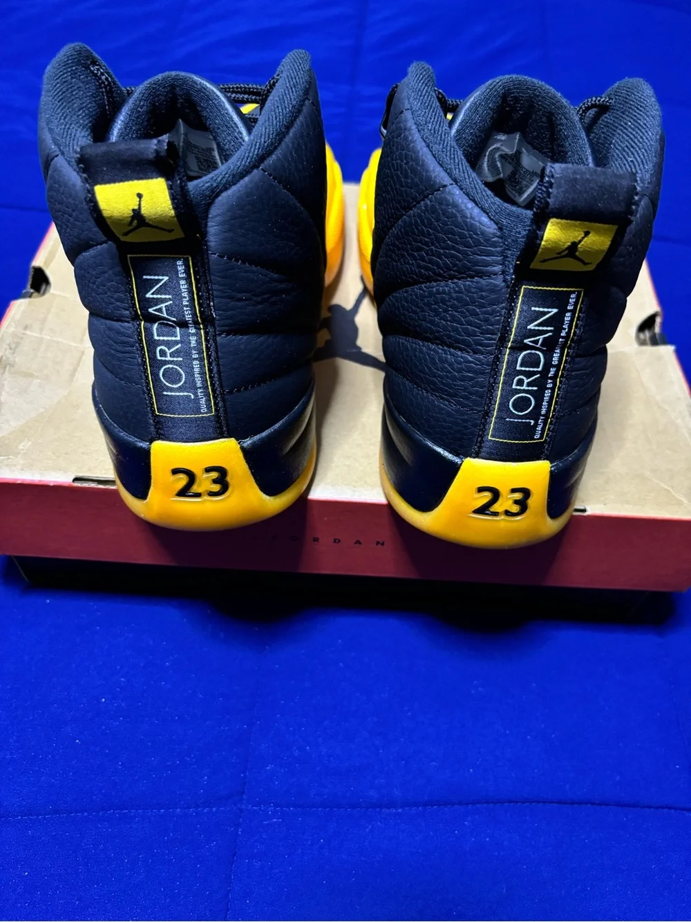 Jordan 12 Retro University Gold 2020 Size 13